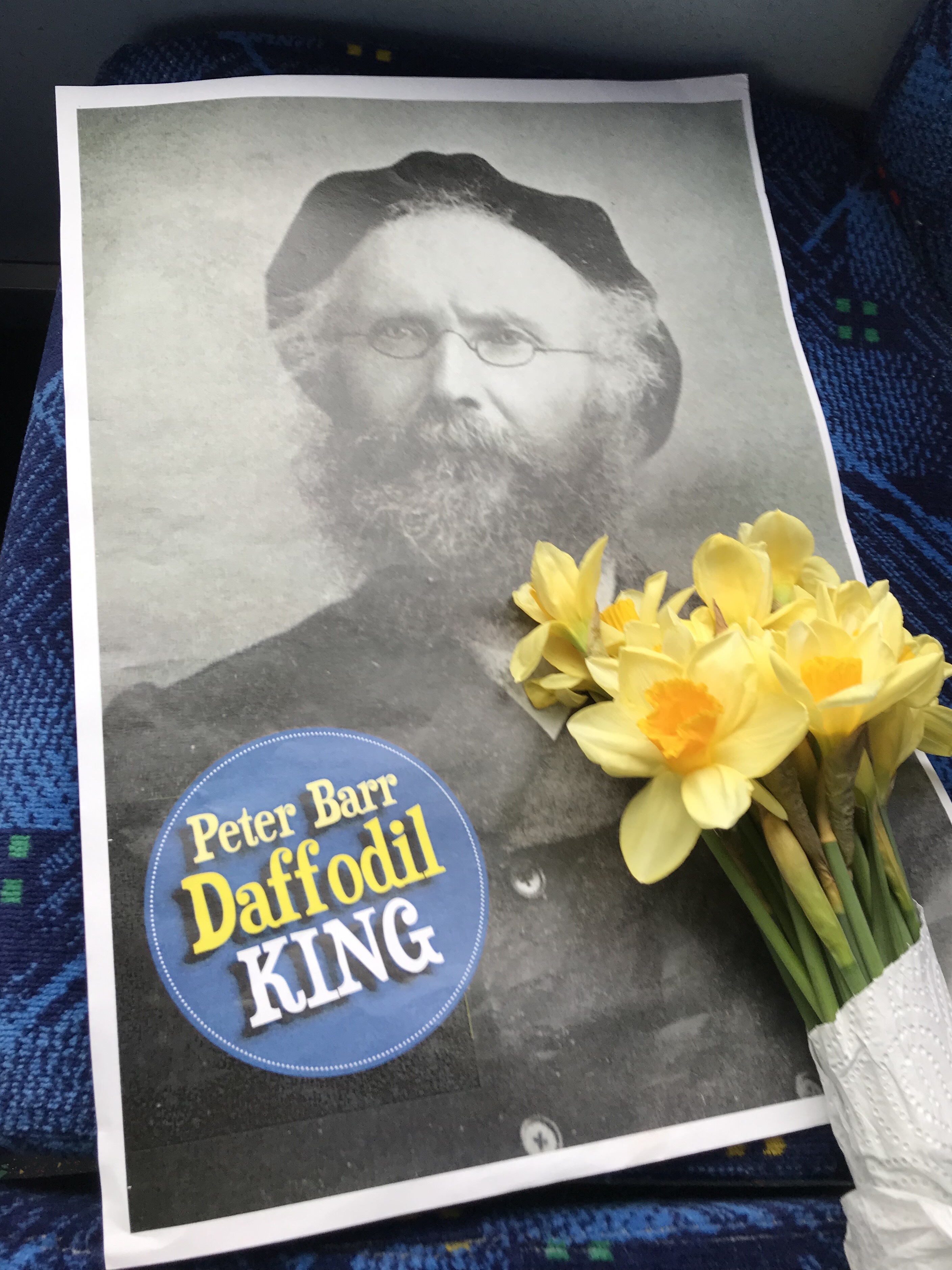 A Home for The Daffodil King