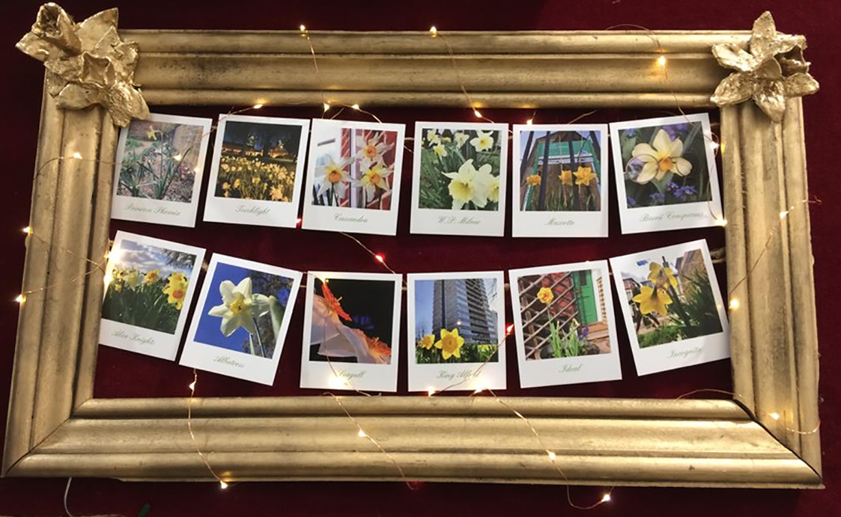 5e8132a8-dd41-4e6a-8b33-50e89ddfc486