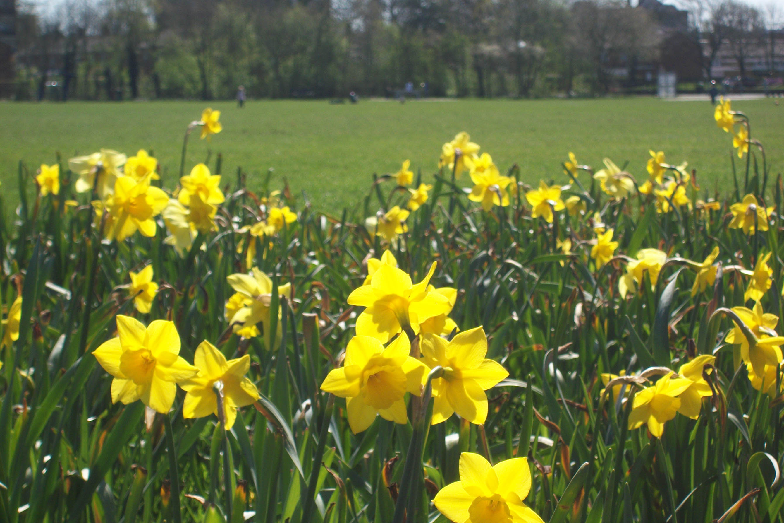 James Jenner Crozier