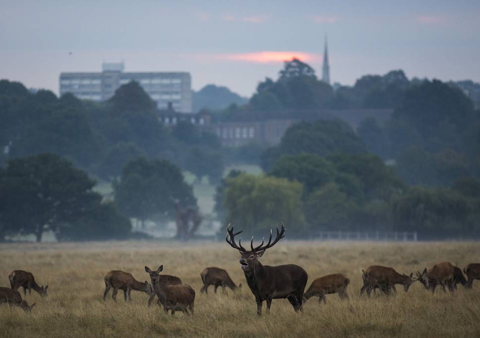 richmondpark2016